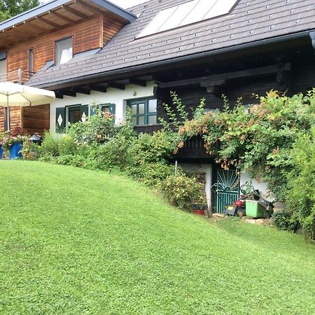 Ferienhaus Blumenparadies 施泰因茨 外观 照片