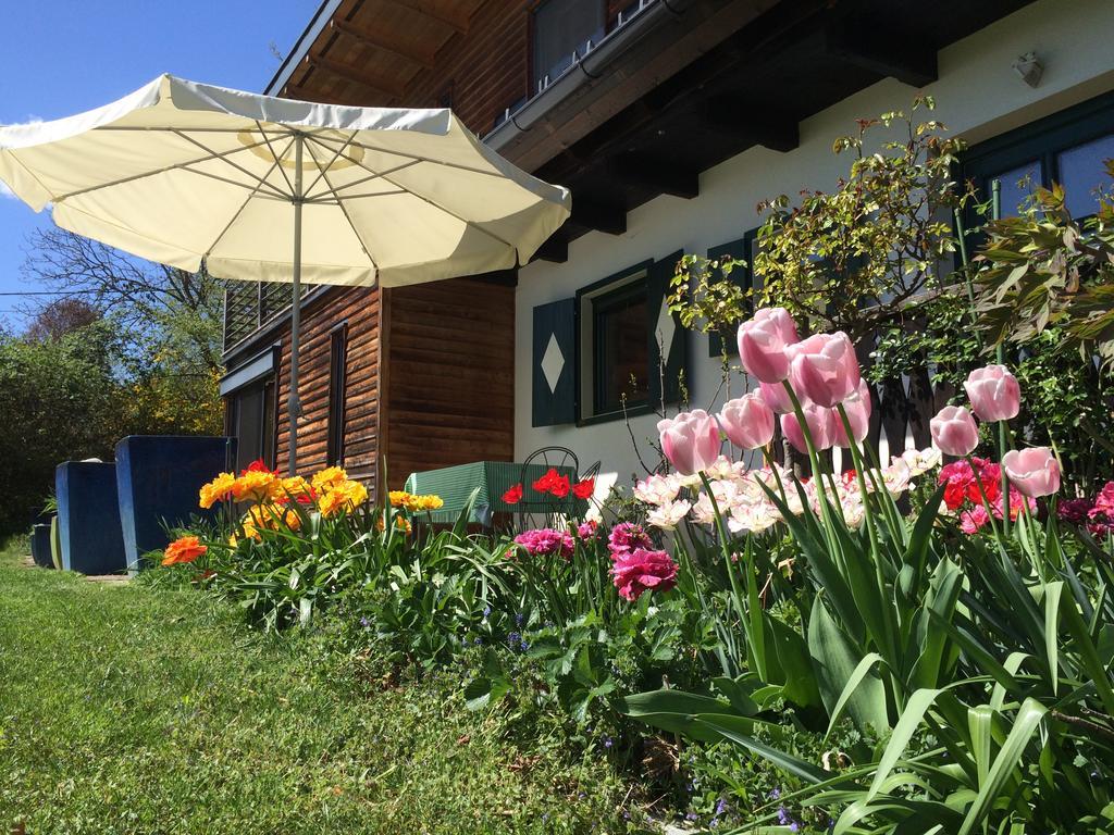 Ferienhaus Blumenparadies 施泰因茨 外观 照片