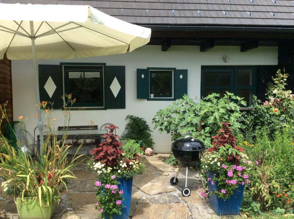 Ferienhaus Blumenparadies 施泰因茨 外观 照片