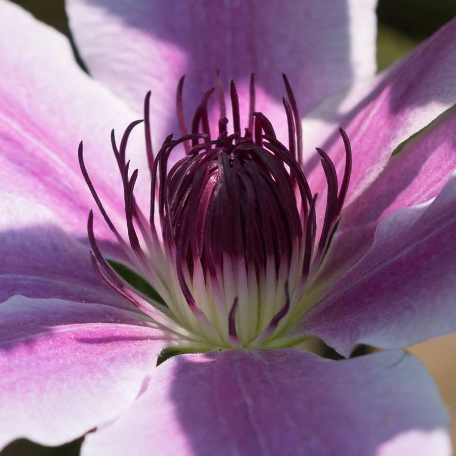 Ferienhaus Blumenparadies 施泰因茨 外观 照片